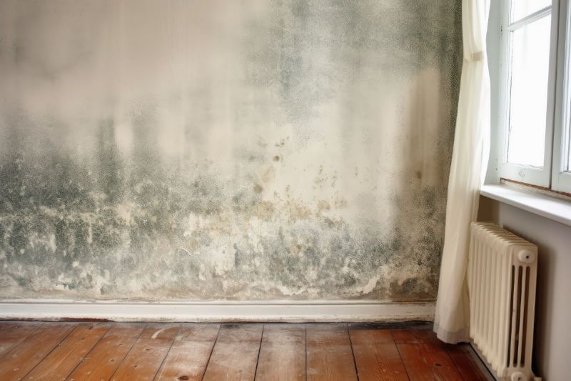 Mold Remediation 101: Keeping Your Home Healthy