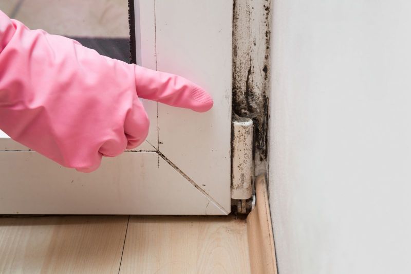 The Importance of Mold Remediation: Protecting Your Health and Property.