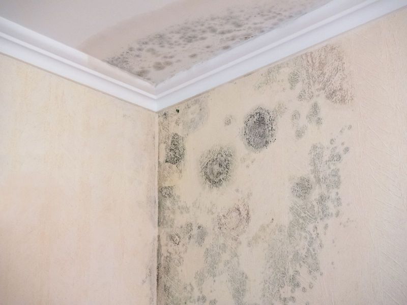 Prevent mold with proper home ventilation.