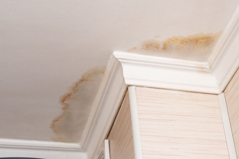 Water damage in your next home?